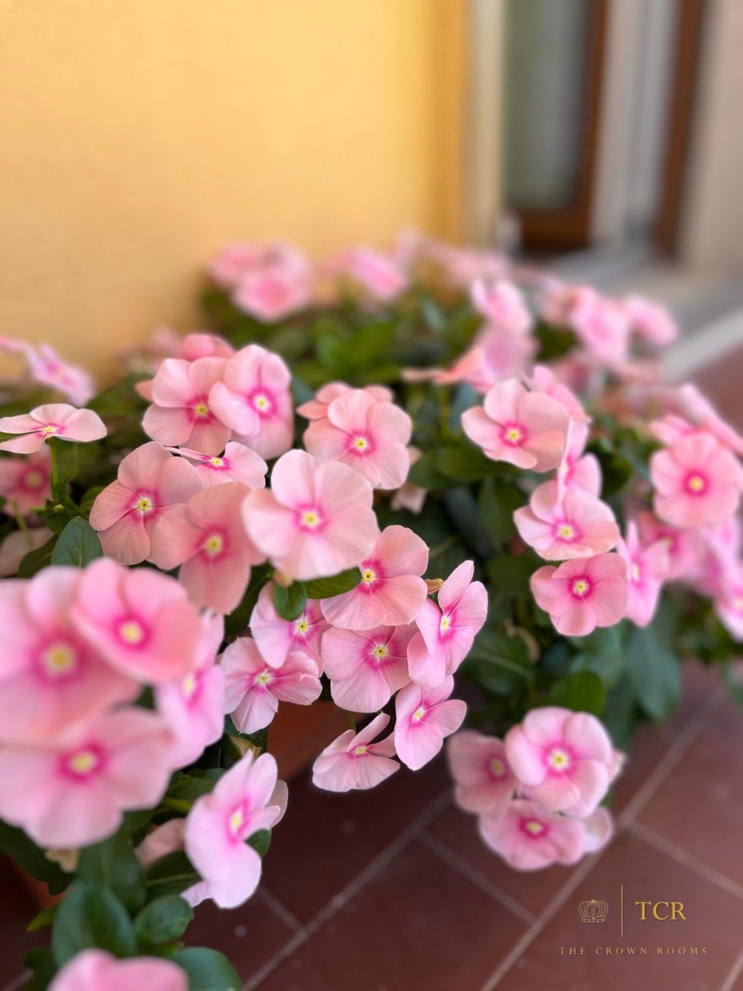 The Crown Rooms Alghero Ngoại thất bức ảnh